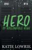 Hero_of_Hollowdale_High