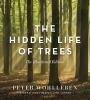 The_hidden_life_of_trees