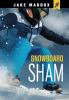 Snowboard_sham