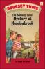 The_Bobbsey_twins__mystery_at_Meadowbrook