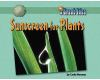 Sunscreen_for_plants