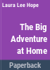 The_Bobbsey_twins__big_adventure_at_home
