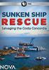 Sunken_ship_rescue