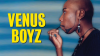 Venus_Boyz