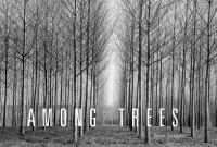 Among_trees