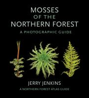 Mosses_of_the_northern_forest